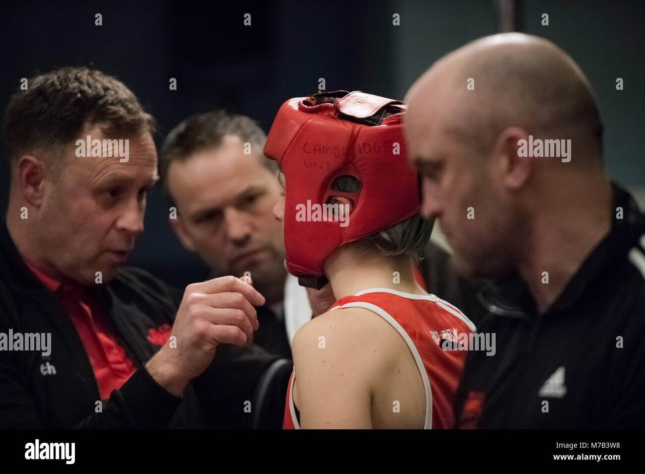 Women boxing hires stock photography and images Alamy