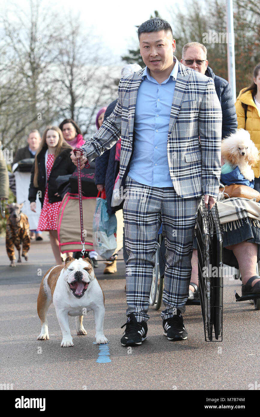 Dogs with their owners arriving at Crufts 2018 Stock Photo