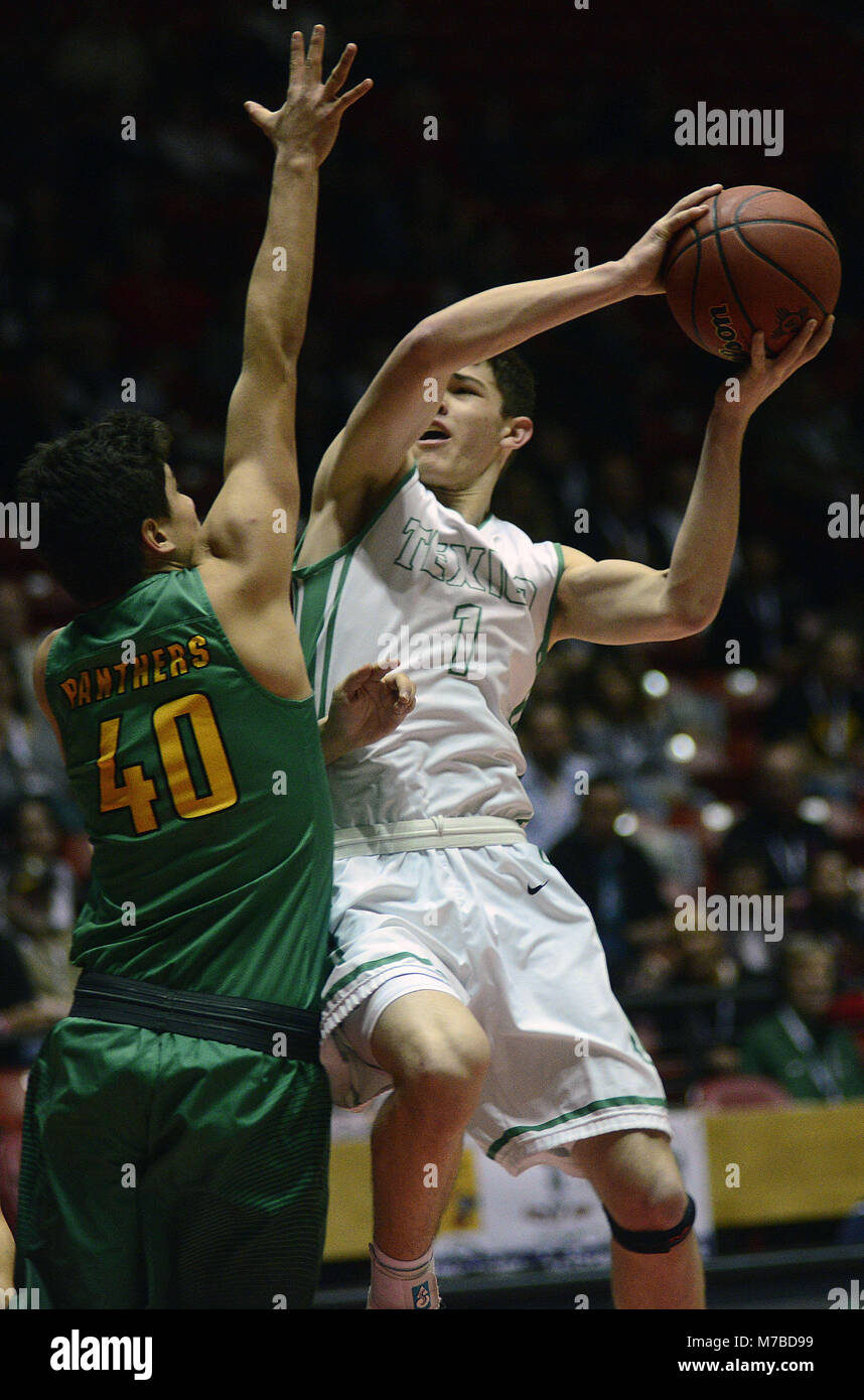 Albuquerque, NEW MEXICO, USA. 10th Mar, 2018. 031018.Pecos Panther
