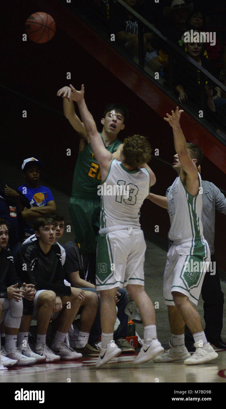 Albuquerque, NEW MEXICO, USA. 10th Mar, 2018. 031018.Pecos Panther Josh