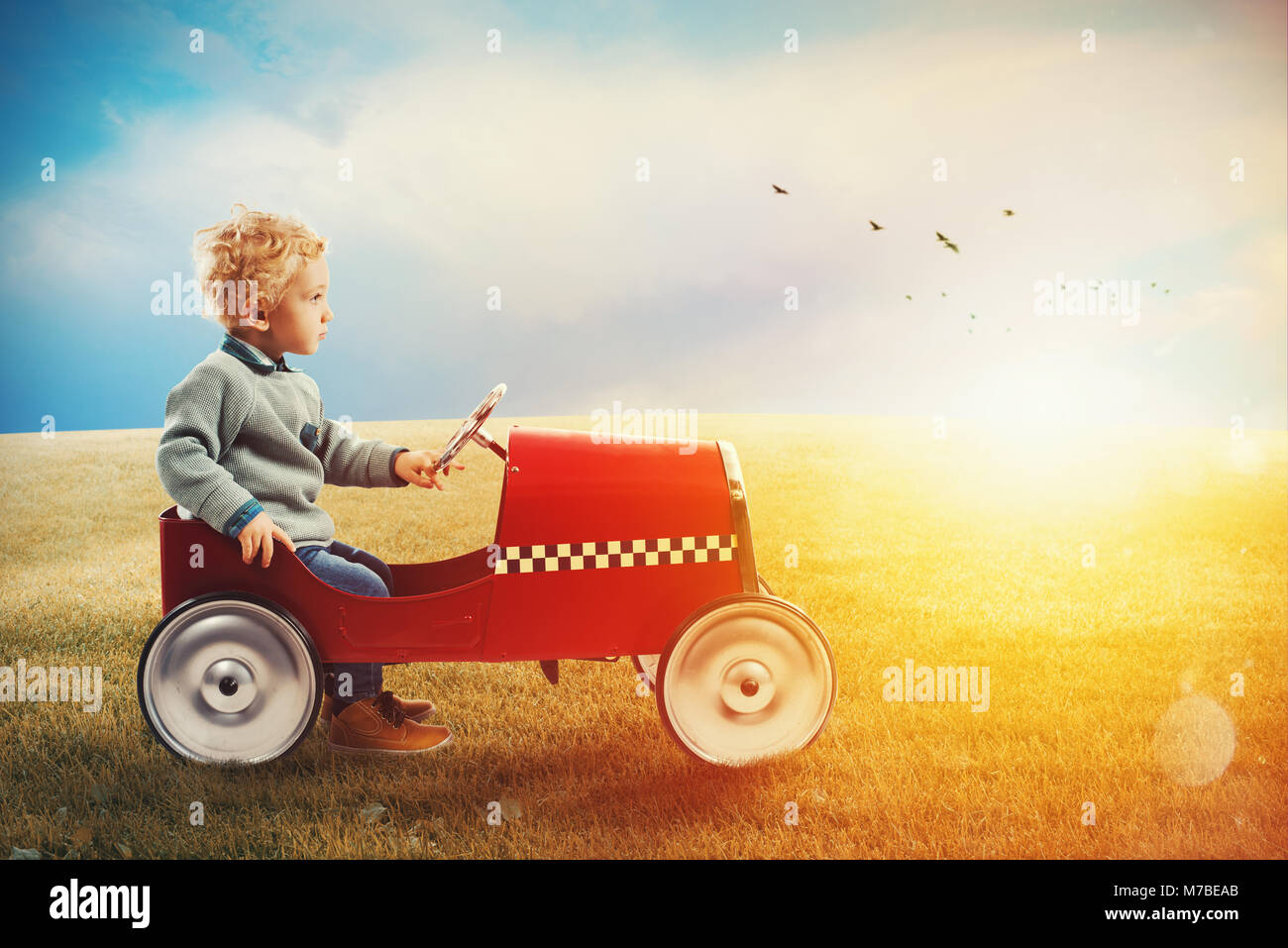 Child with car plays in a green field Stock Photo Alamy