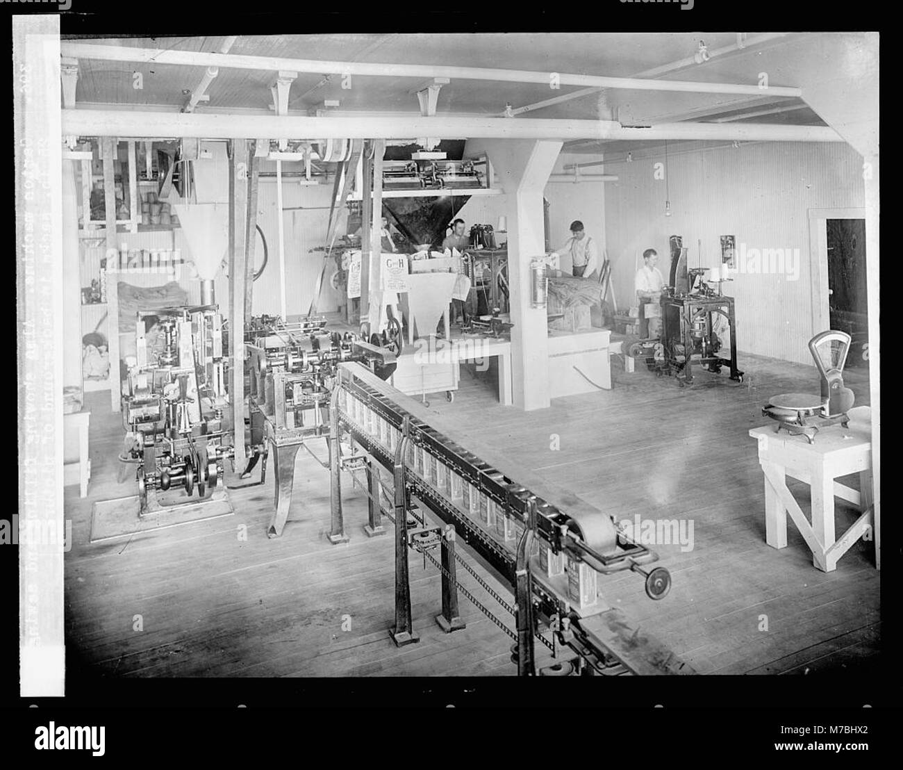 The carton machine in operation, with workers filling and sewing 25 lb ...