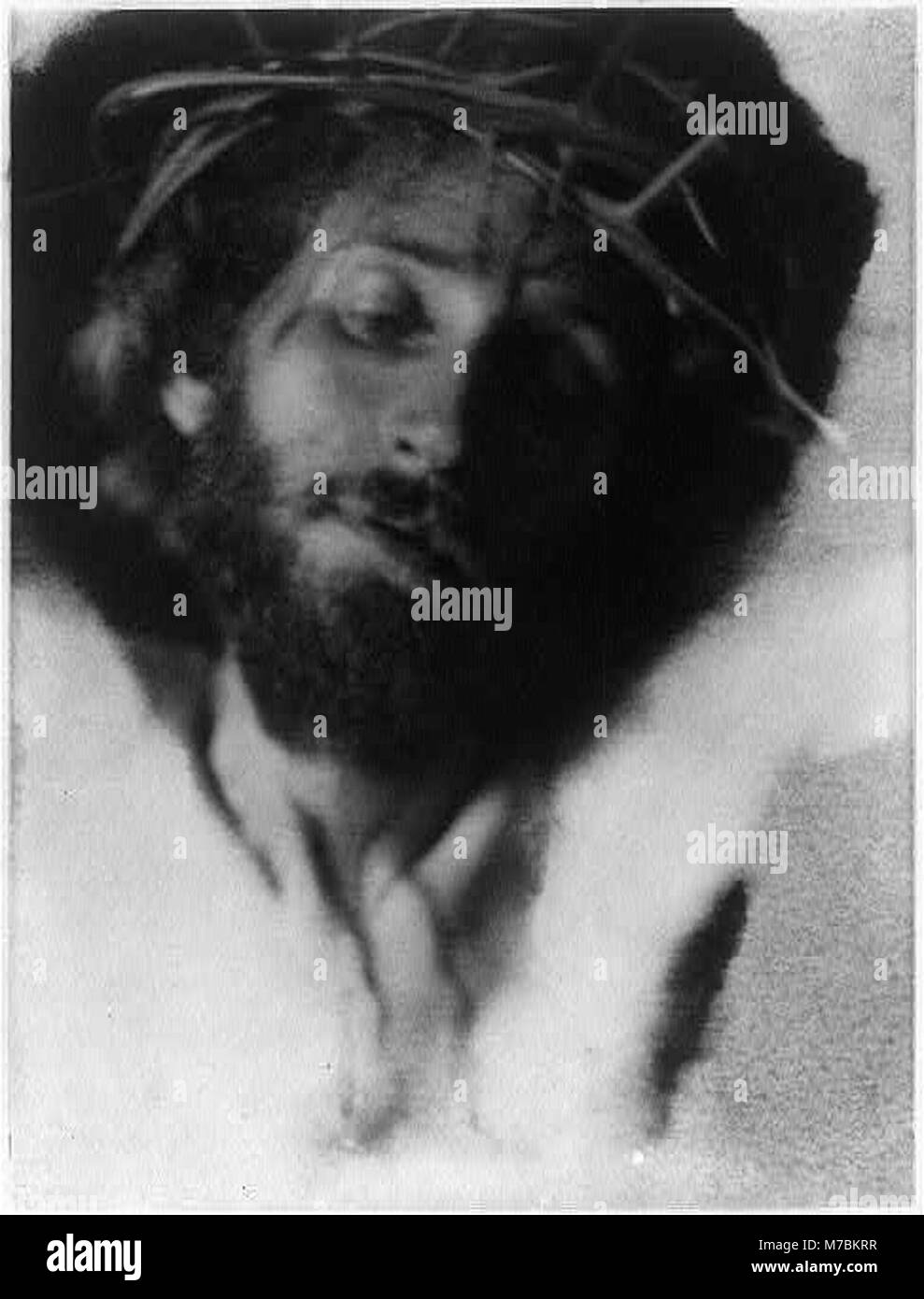 Jesus christs crown of thorns hi-res stock photography and images - Alamy