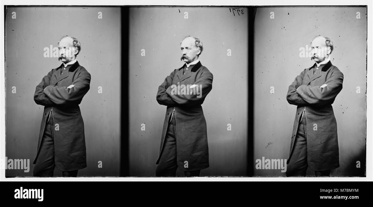 Col. Hiram Berdan, 1st U.S. Sharpshooters LOC cwpb.04657 Stock Photo