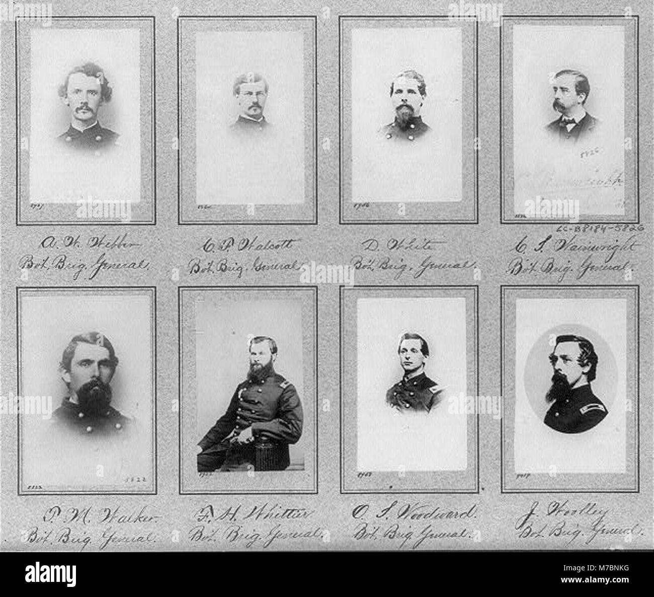 Composite of 7 busts and 1 half-length photos of Brig. Generals A.W. Webber, C.F. Walcott, D. White, C. Wainwright, T.M. Walker, F.H. Whittier, O. Woodward, J. Woolley LCCN2006682504 Stock Photo