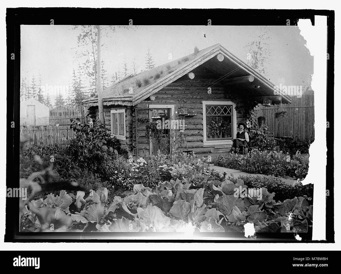 A cottage & garden, Alaska LCCN2016821817 Stock Photo Alamy