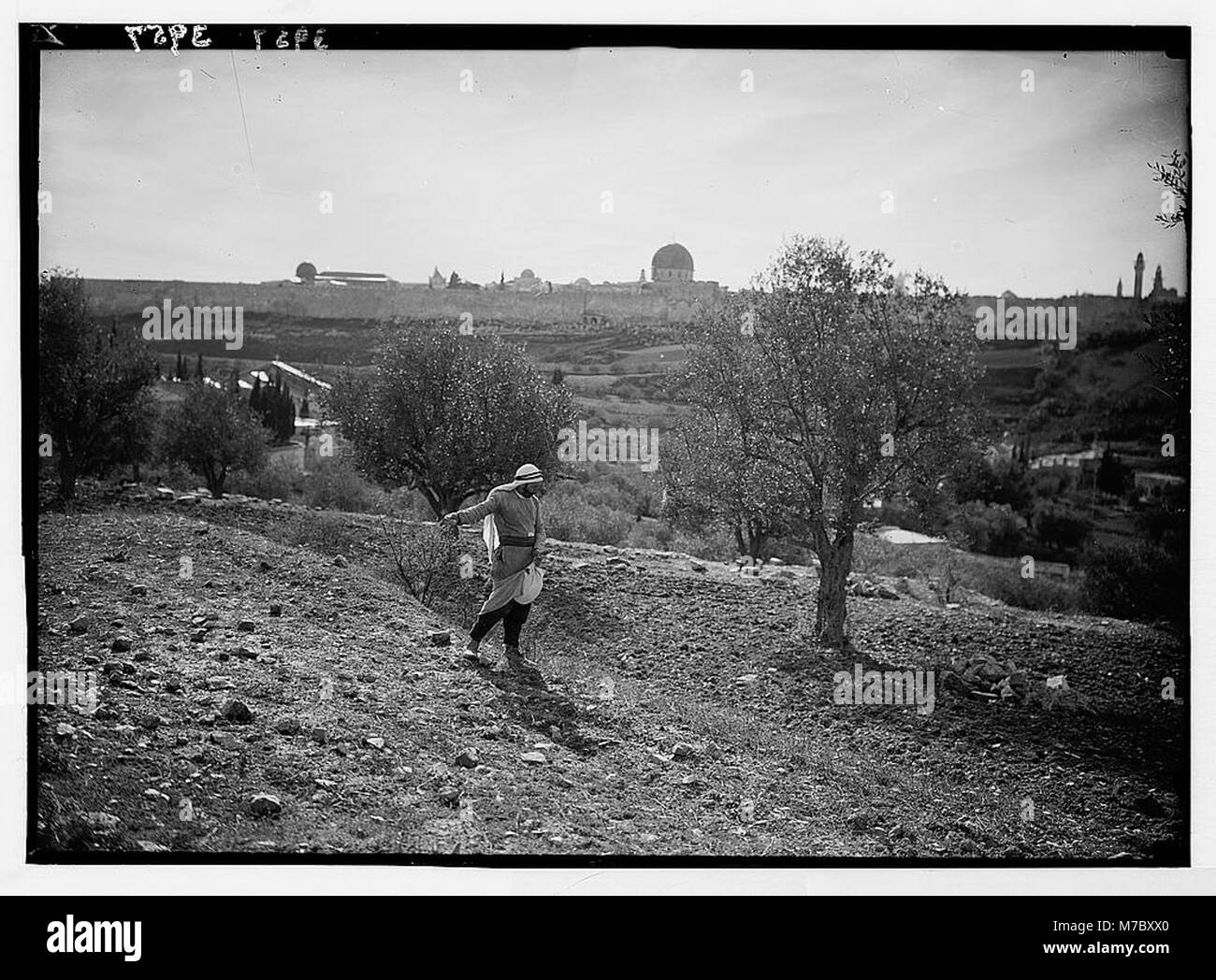 This image depicts the act of sowing grain, a key agricultural practice ...