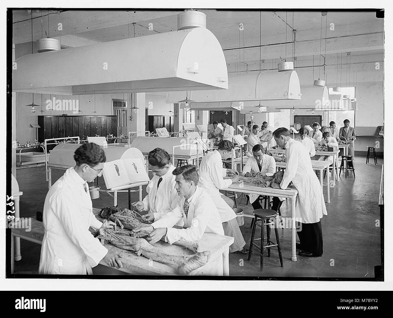 An image of students in a dissecting class at the new medical building ...