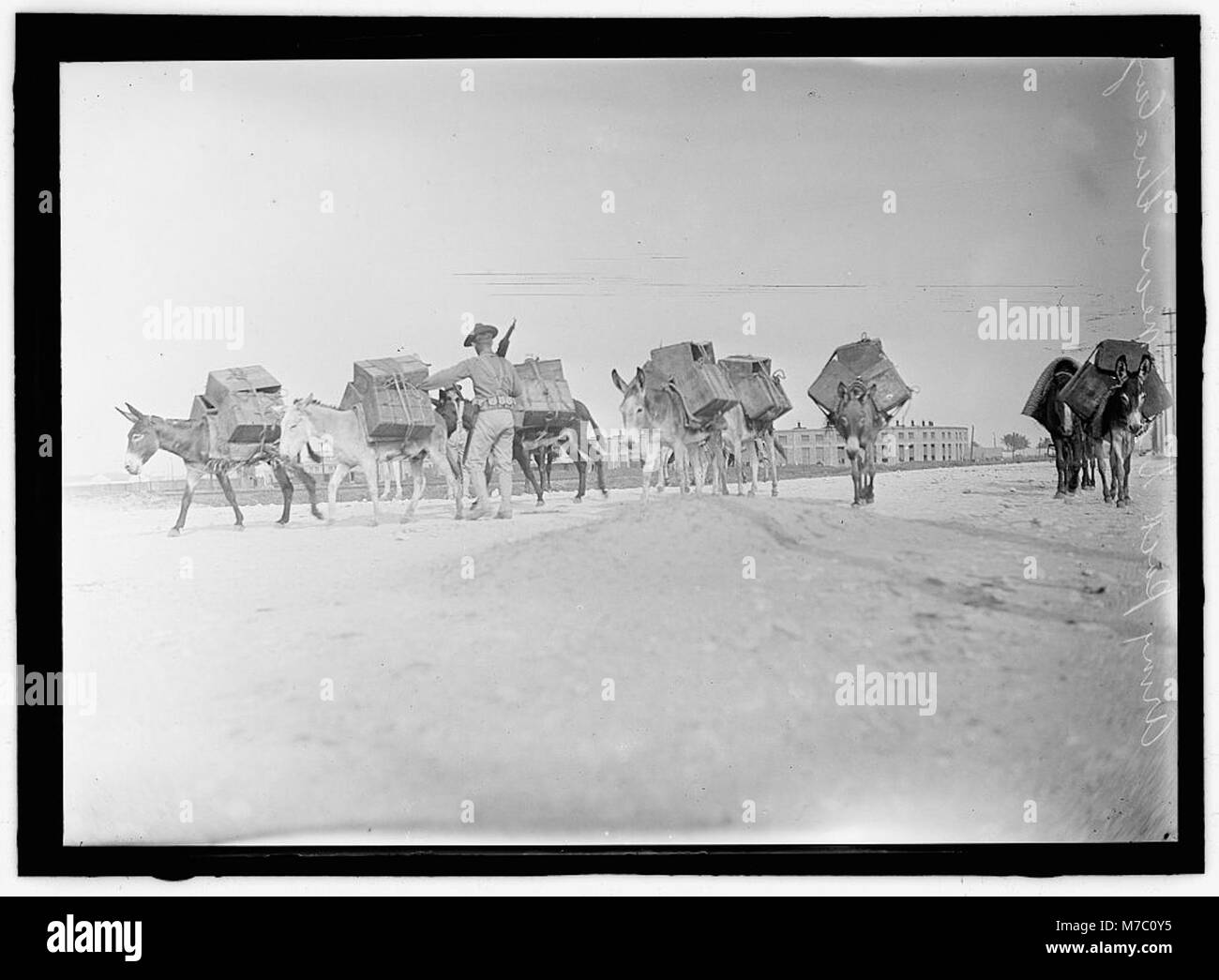 Army u s pack train hi-res stock photography and images - Alamy