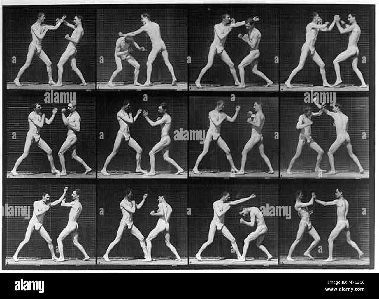 This photographic series by Eadweard Muybridge captures the sequential ...