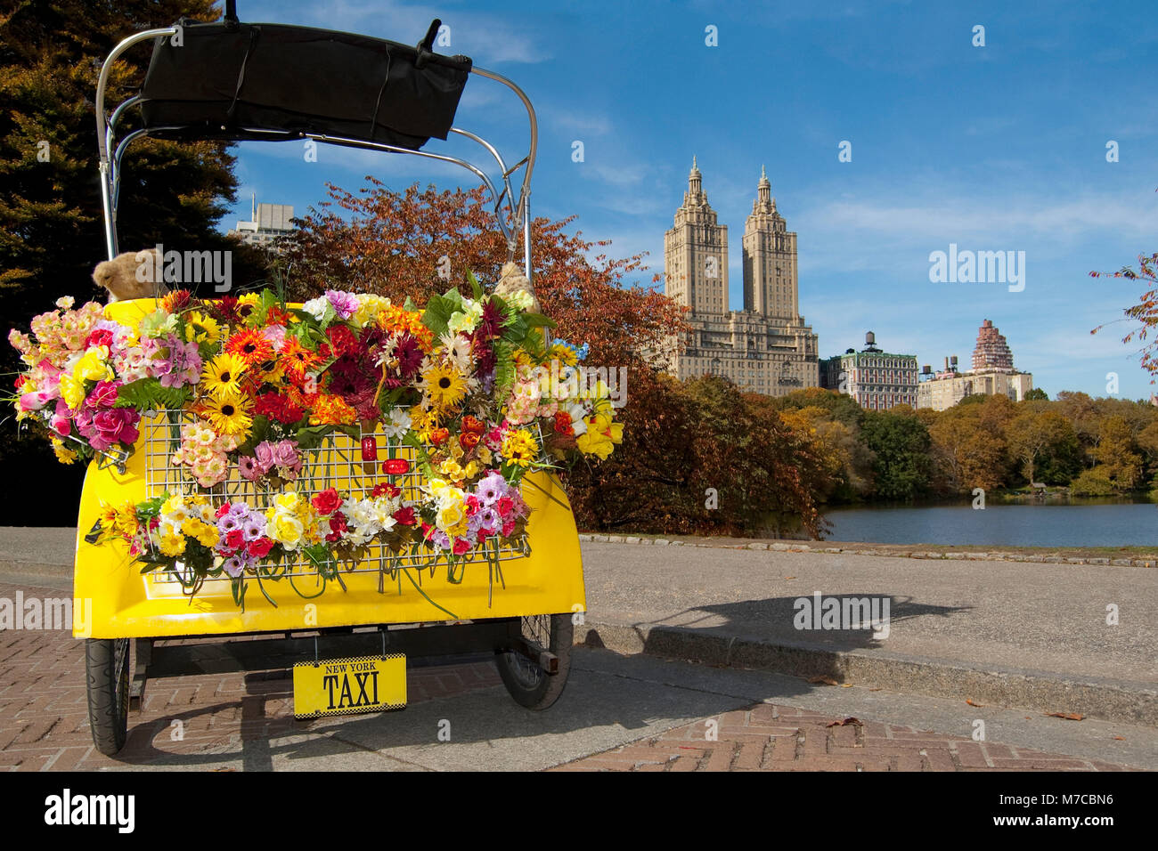 Flowers in a pedicab in a park, Central Park, Manhattan, New York City