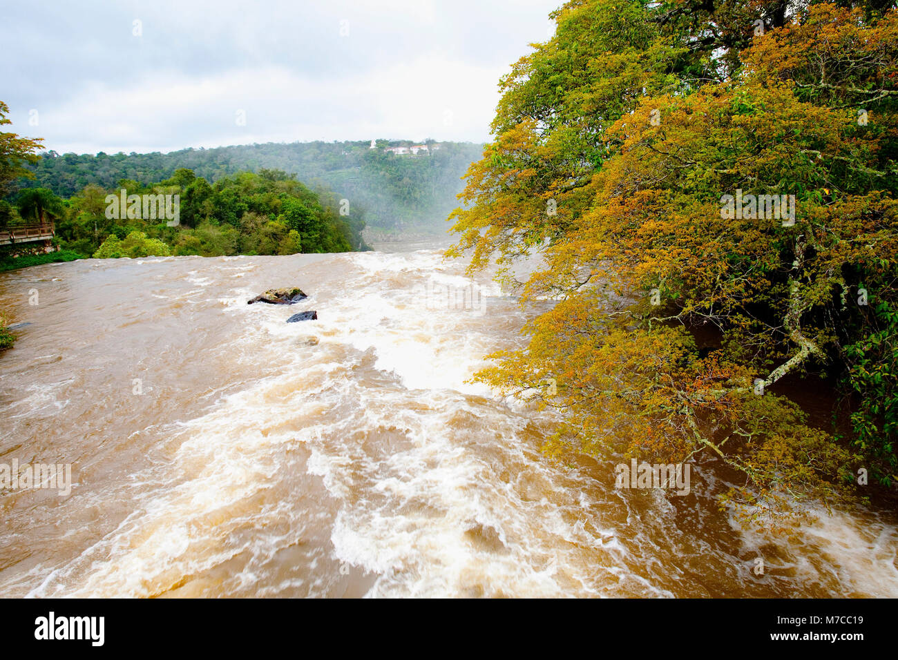 River flowing through a forest, Iguacu River, Puerto Iguazu, Misiones Province, Argentina Stock Photo