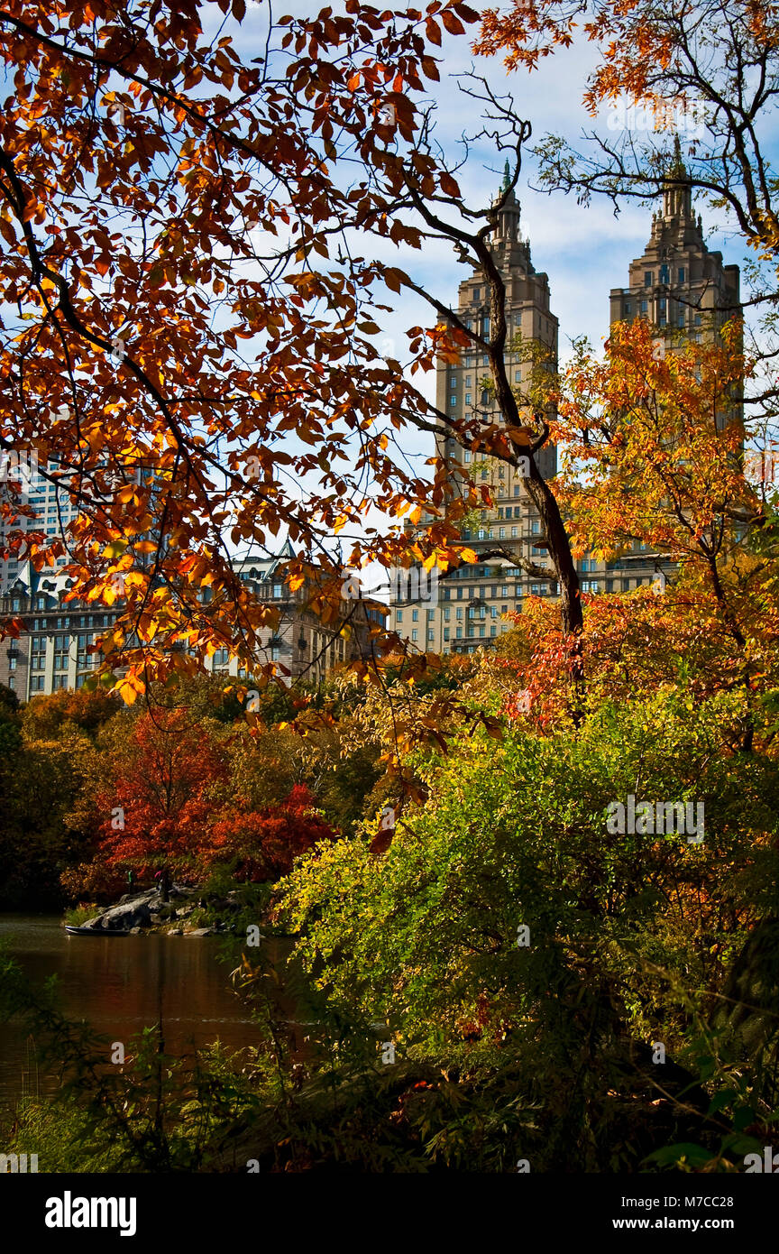 Trees in a park with skyscrapers in the background, Central Park, Manhattan, New York City, New York State, USA Stock Photo