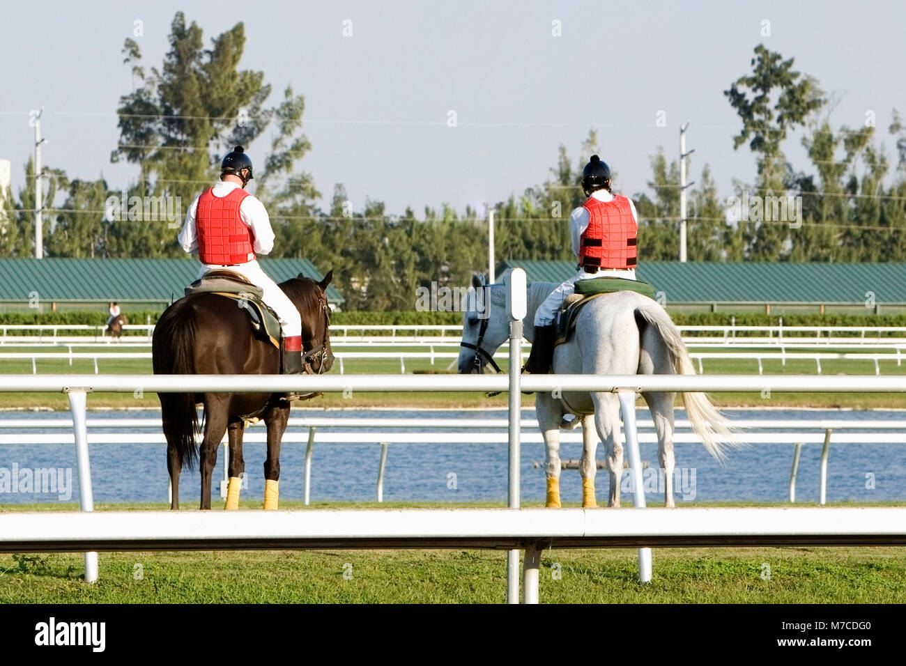 Mammal jockeys hi-res stock photography and images - Alamy