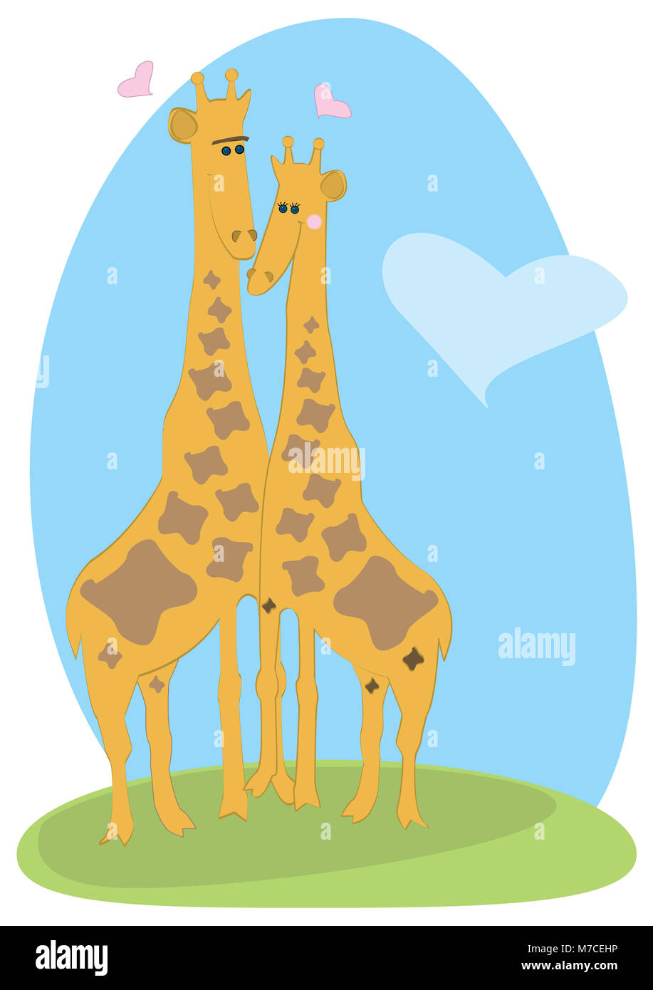Male giraffe and a female giraffe standing together Stock Photo - Alamy