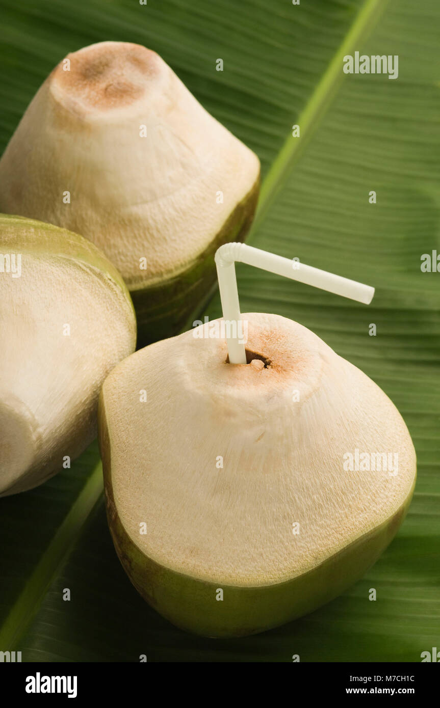 Closeup of green coconuts Stock Photo Alamy