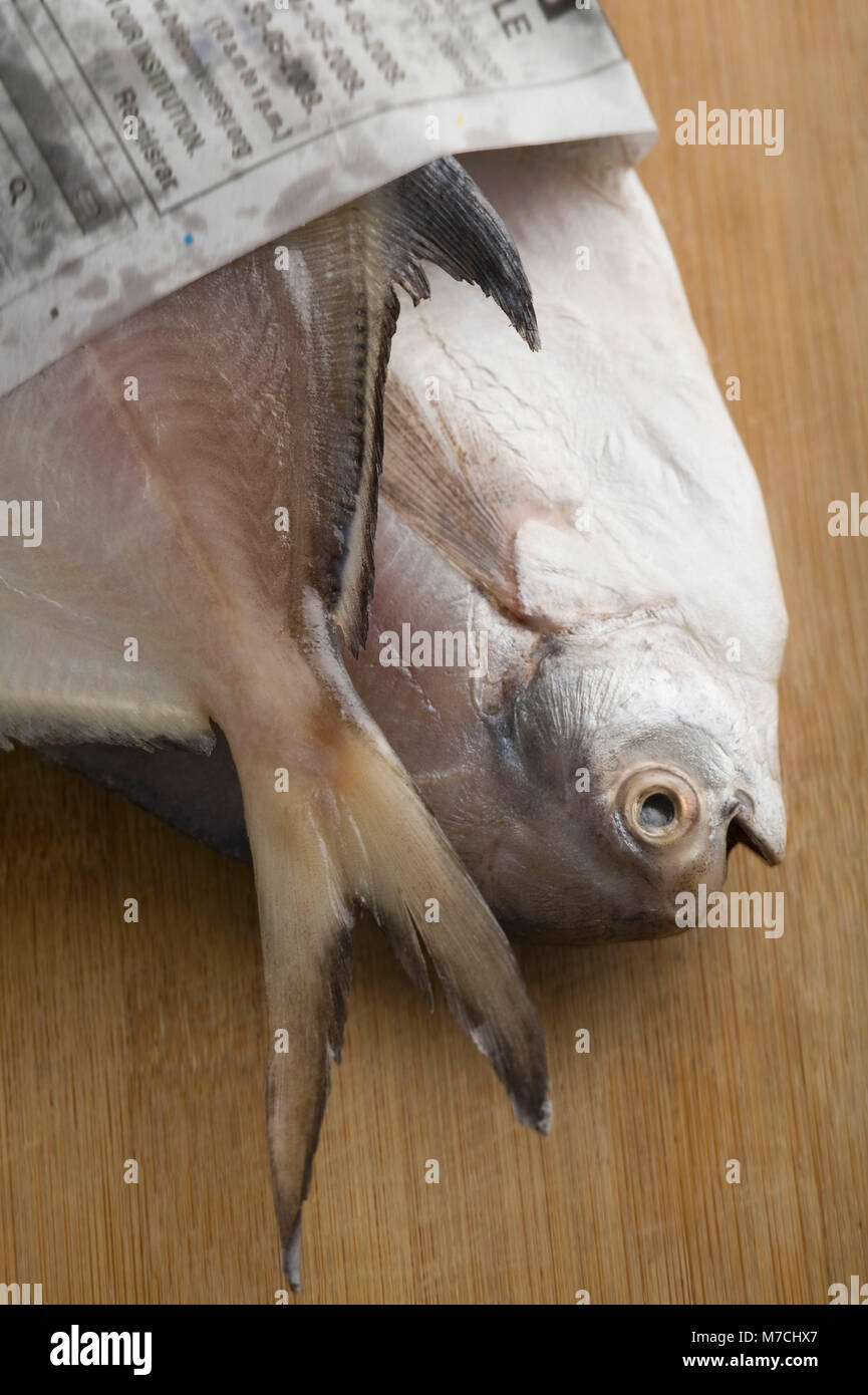 Close-up of raw fish wrapped in paper Stock Photo - Alamy