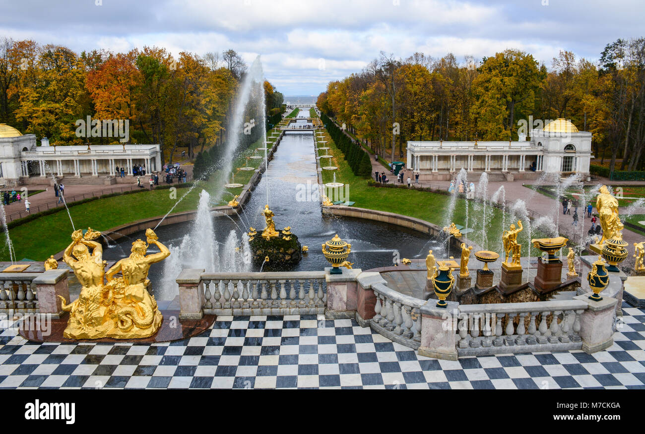 Можно в петергоф с собакой. Можно в петергоф с собакой. Петербург экскурсии петергоф. Можно в петергоф с собакой. Заповедник петергоф.