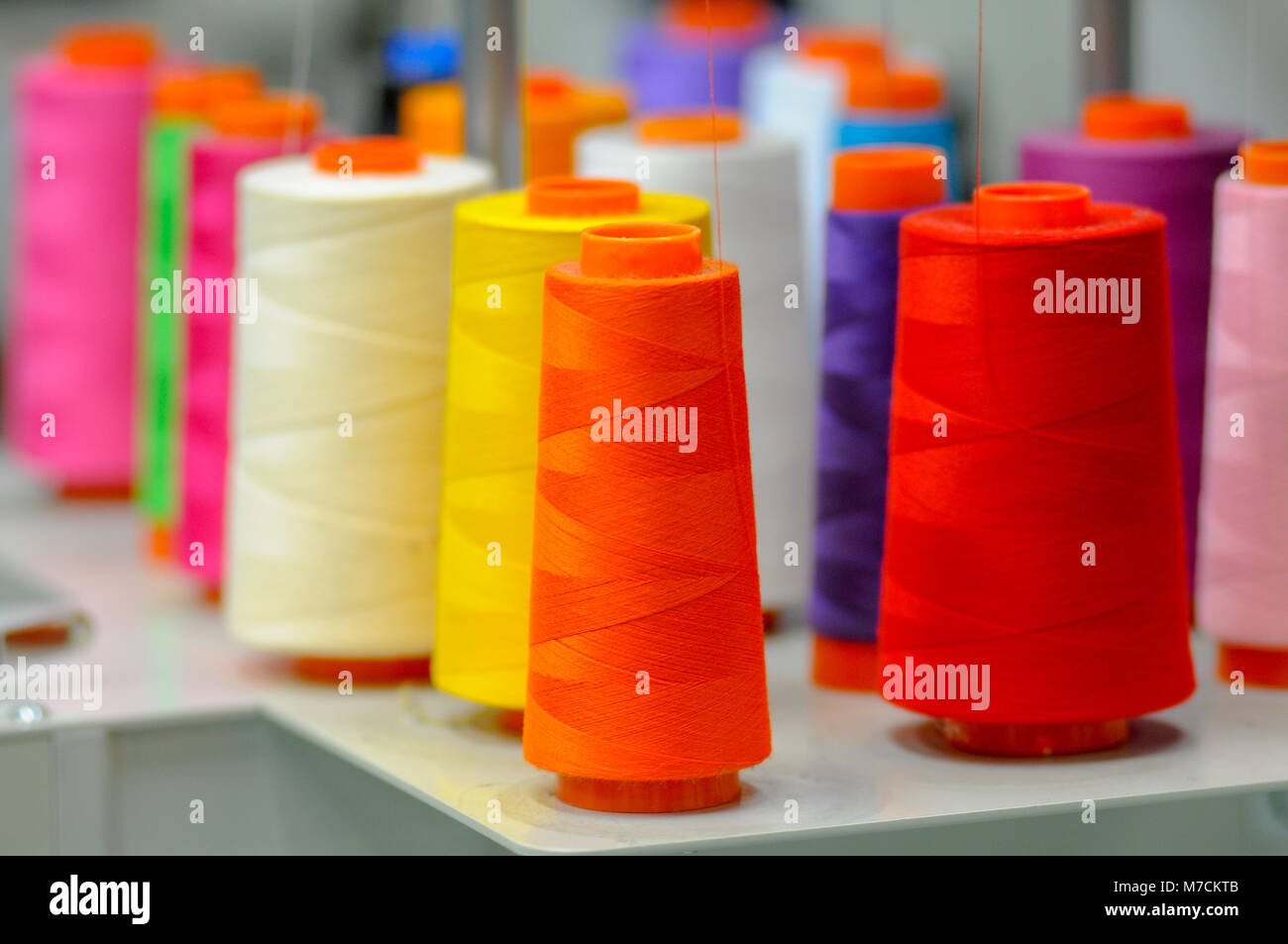 Multiple spools of colorful thread ready for monograming machine. Stock Photo