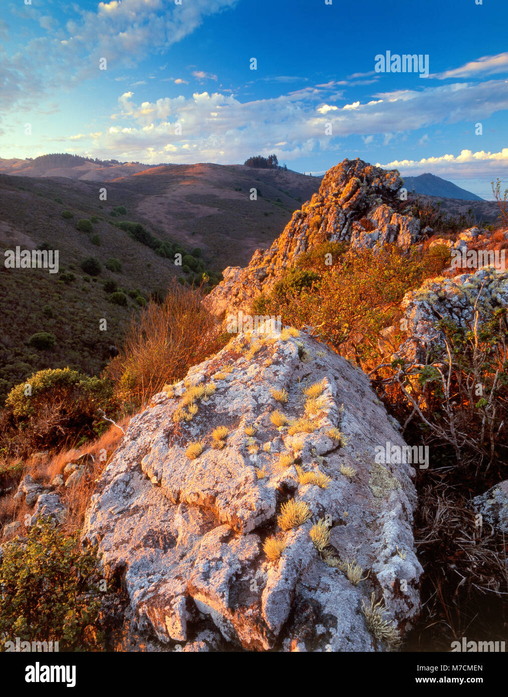 Rock Formations, Coastal Hills, Mount Tamalpais, Mount Tamalpais State Park, Golden Gate National Recreation Area, Marin County, California Stock Photo