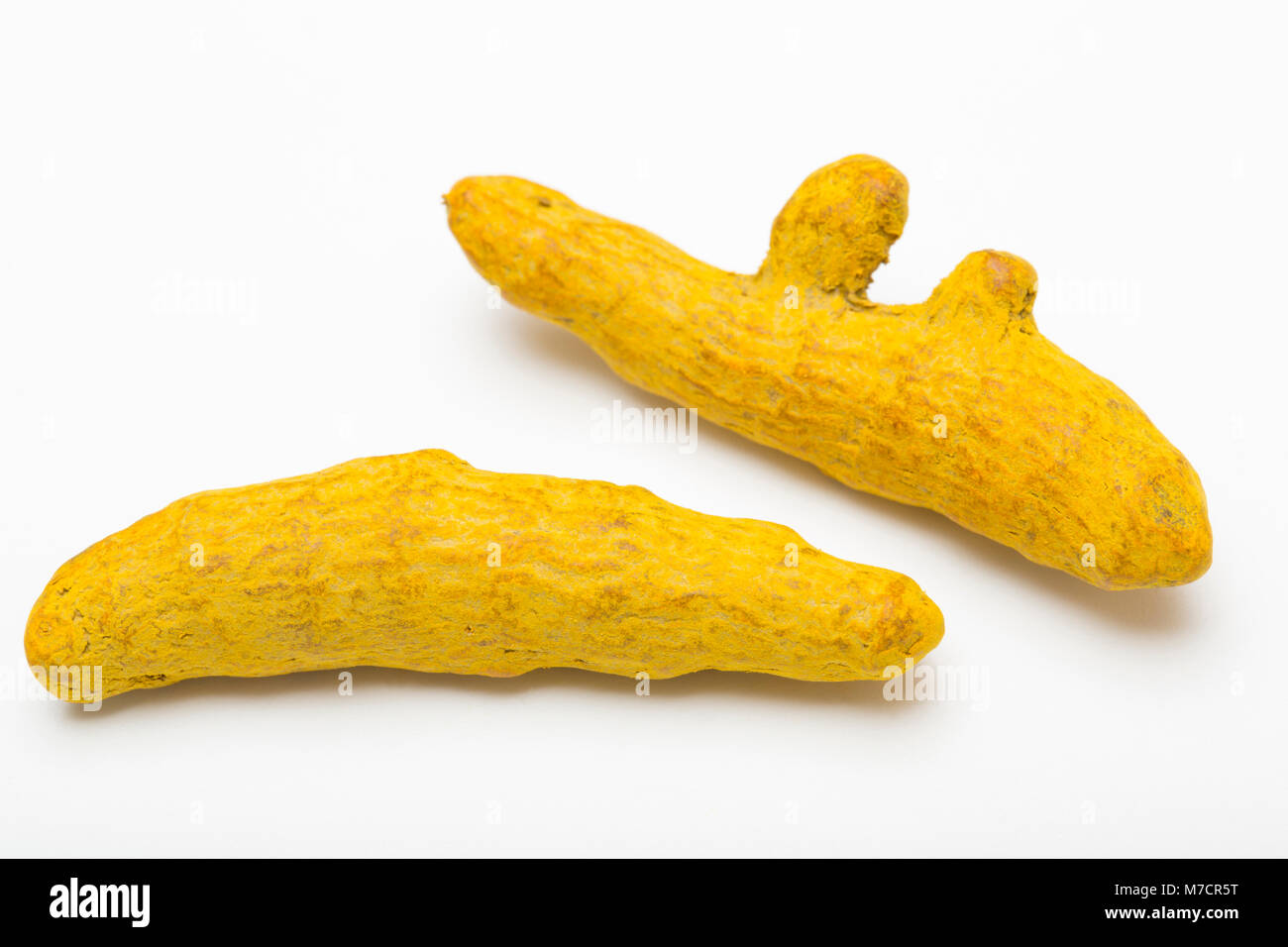 Dried turmeric root-Curcuma longa, bought from a shop in the UK and photographed in a studio. England UK GB Stock Photo
