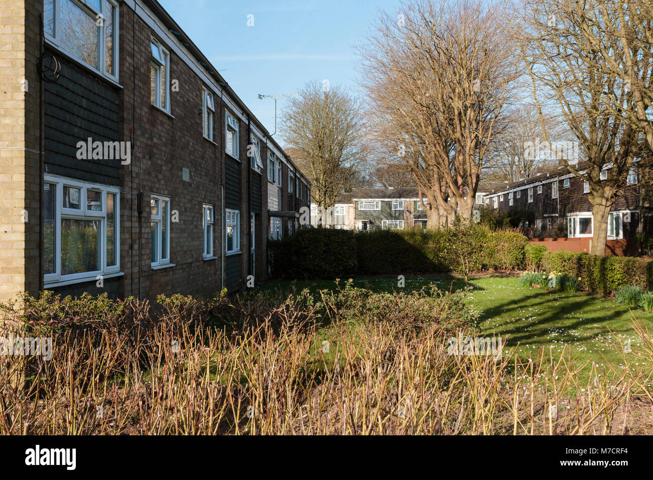 Mid-Century Modern 1960s Housing at Pin Green, Stevenage New Town, with trees and gardens. Stock Photo