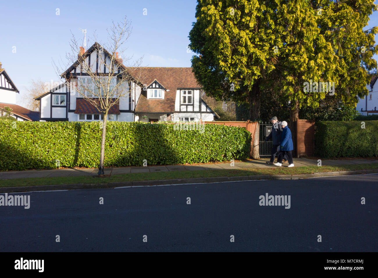 Typical detached English Neo-Tudor suburban house behind hedges in Bristol, UK. Stock Photo