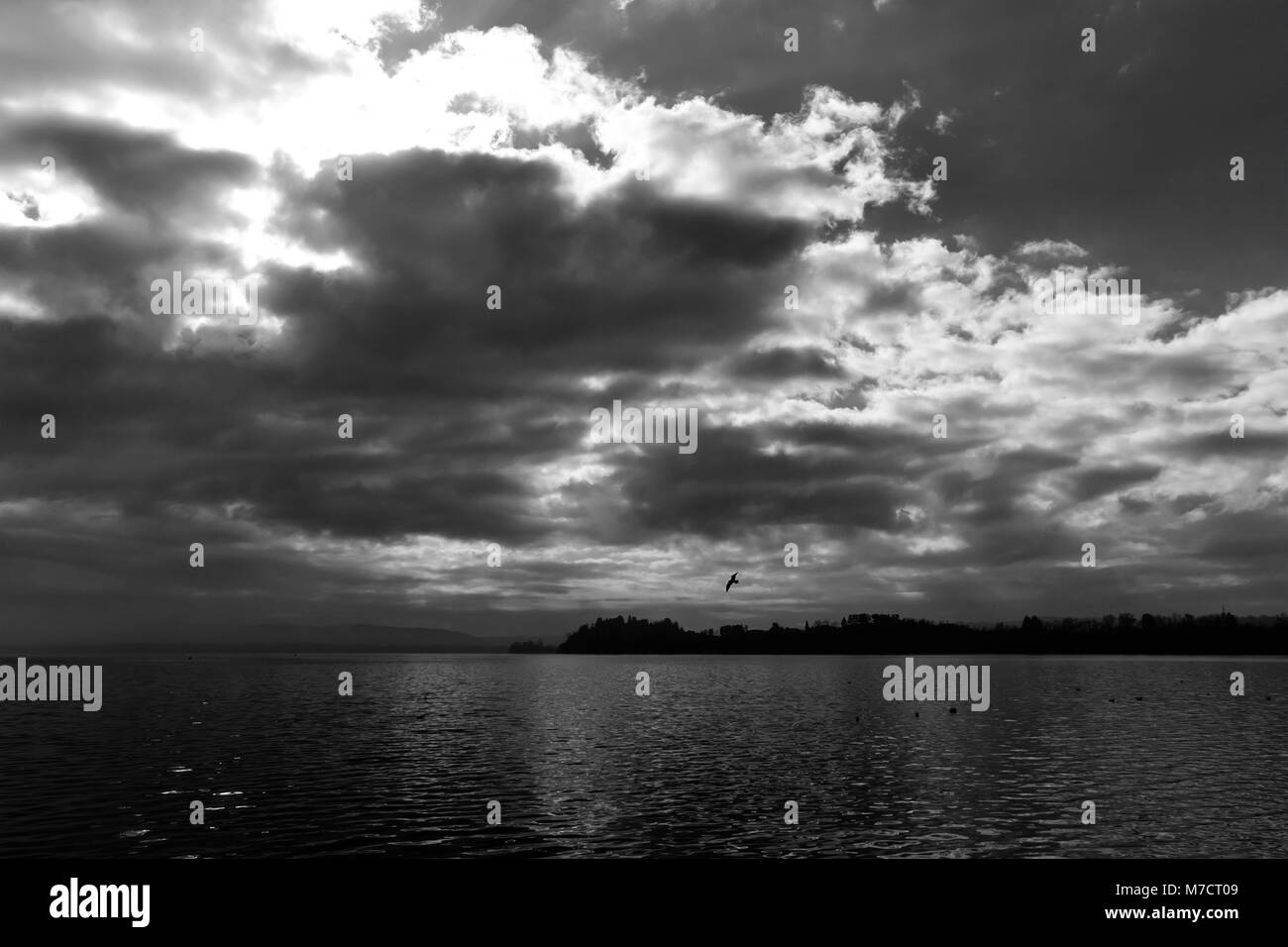 Sunny weather on the lake Black and White Stock Photos & Images - Alamy