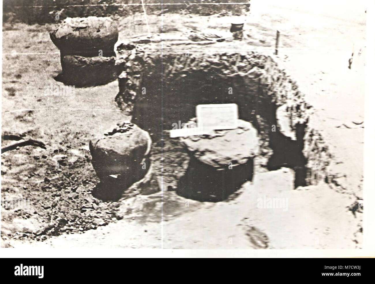 Excavaciones arqueológicas, Los Mezcales (17619360236) Stock Photo