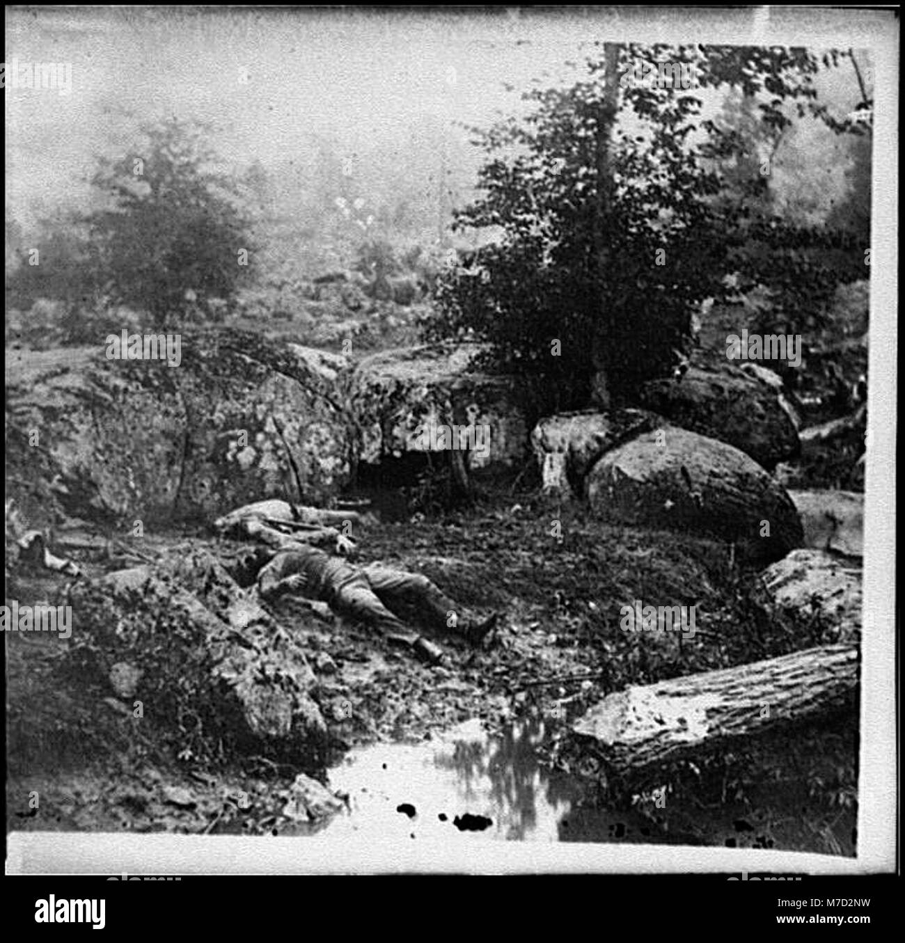 Gettysburg, Pa. Dead Confederate soldiers in the 'slaughter pen' at the