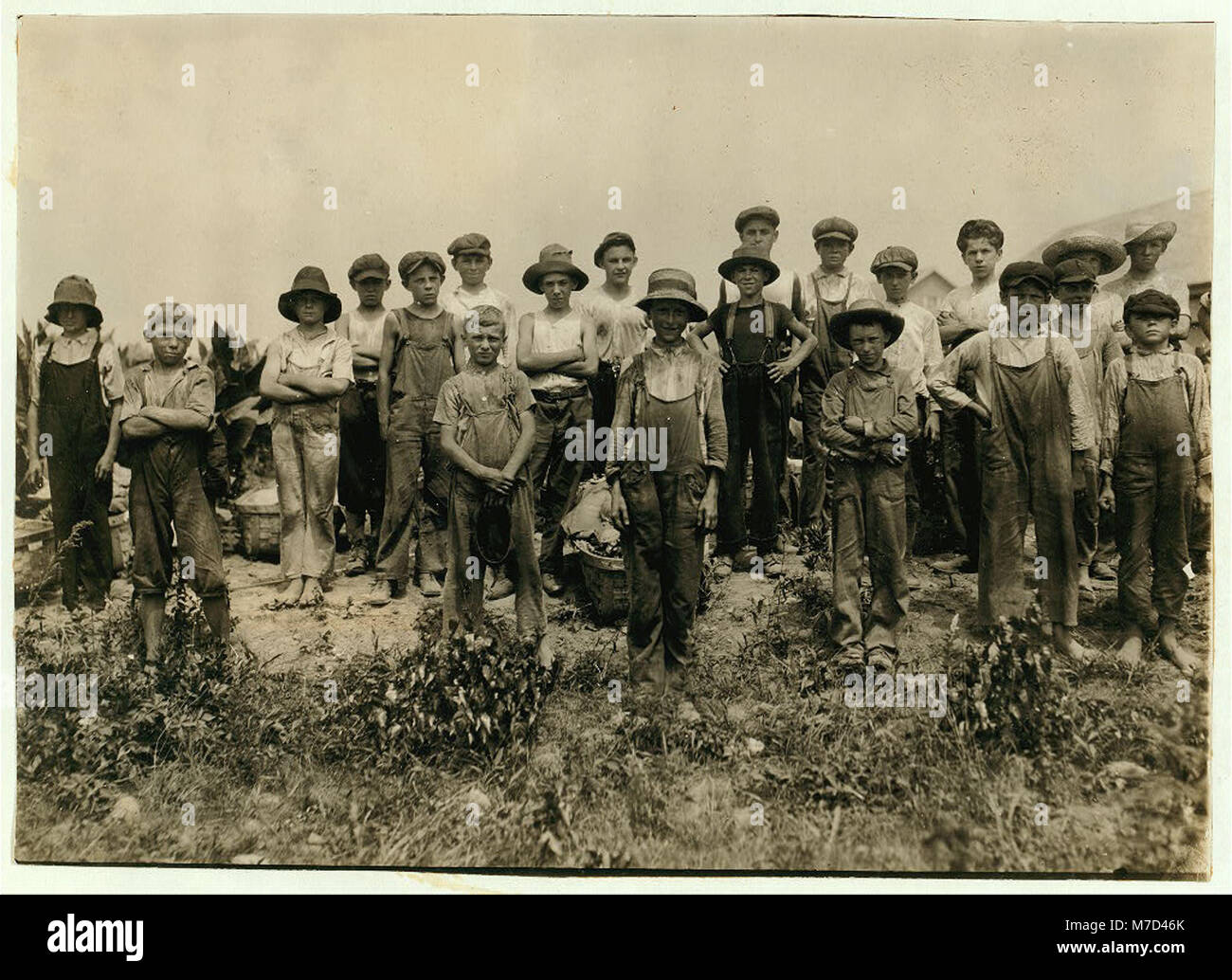 Group of field-workers at Hunttings' Tobacco Farm. One of 9 years, two of 11 yrs., 8 of 12 yrs., 5 of 13 yrs., 3 of 14 yrs., 1 of 15. Four of 11 and 12 had gone home and were not counted. LOC nclc.00709 Stock Photo