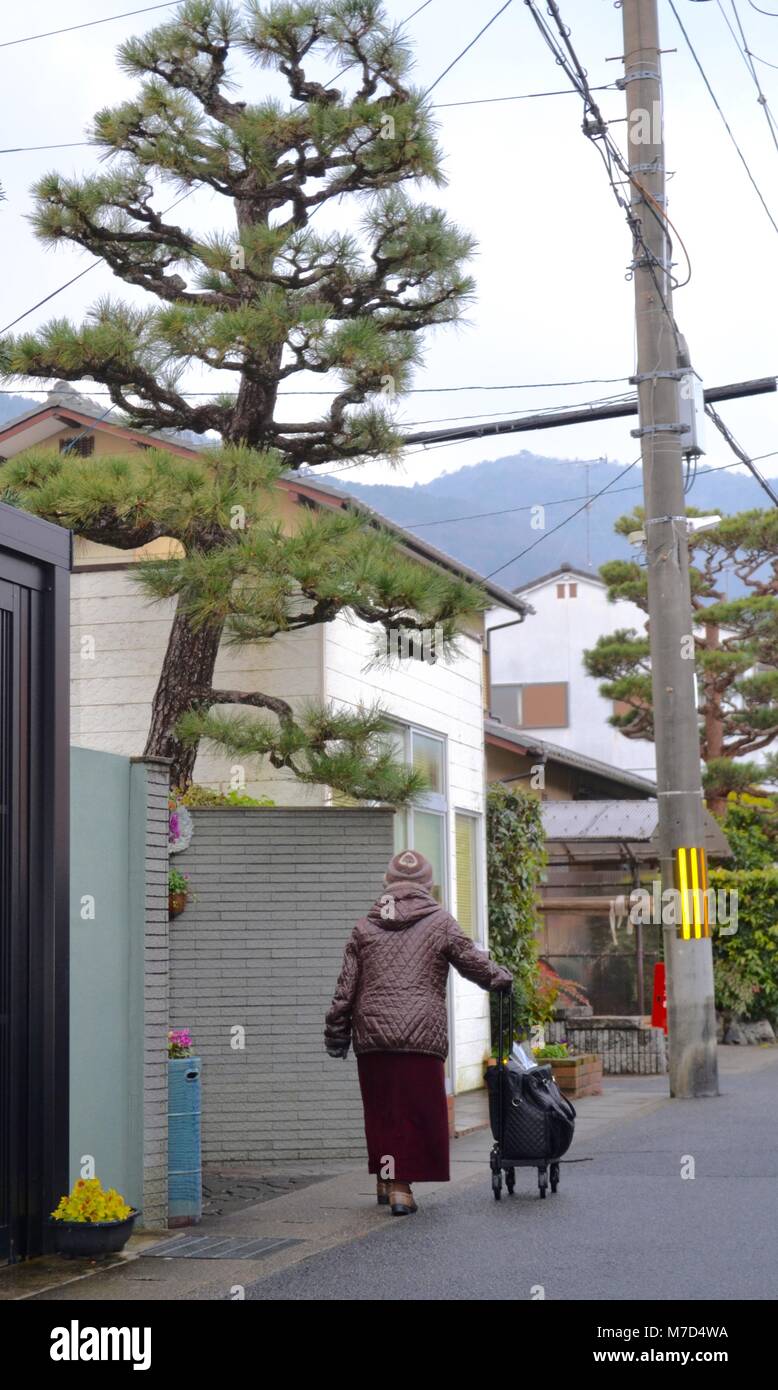 Old Japanese lady pensioner going shopping with her cart in Kyoto Japan Stock Photo