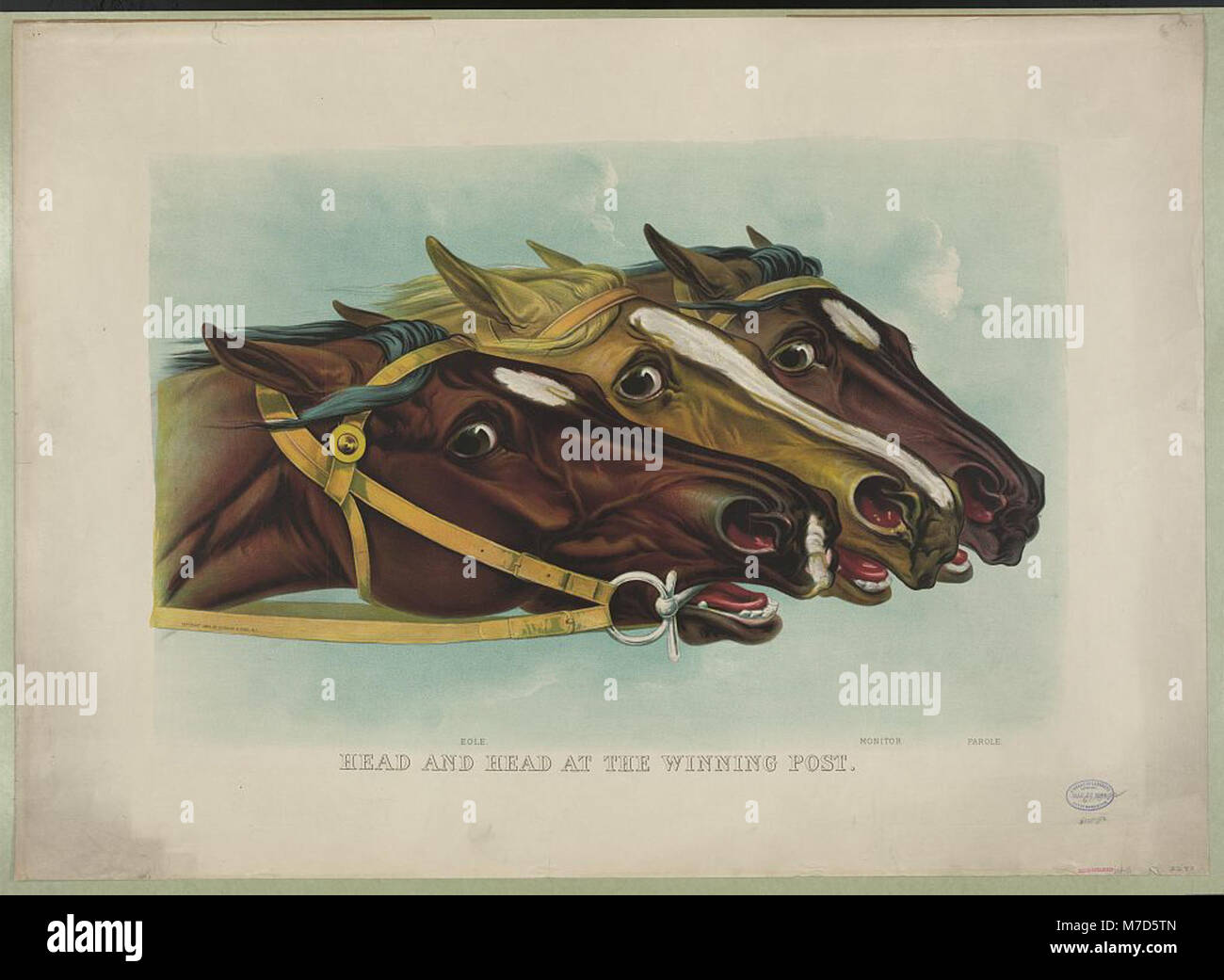 A photograph capturing two horses at the winning post in a race. This historical image showcases the moment of victory in a competitive event. Stock Photo