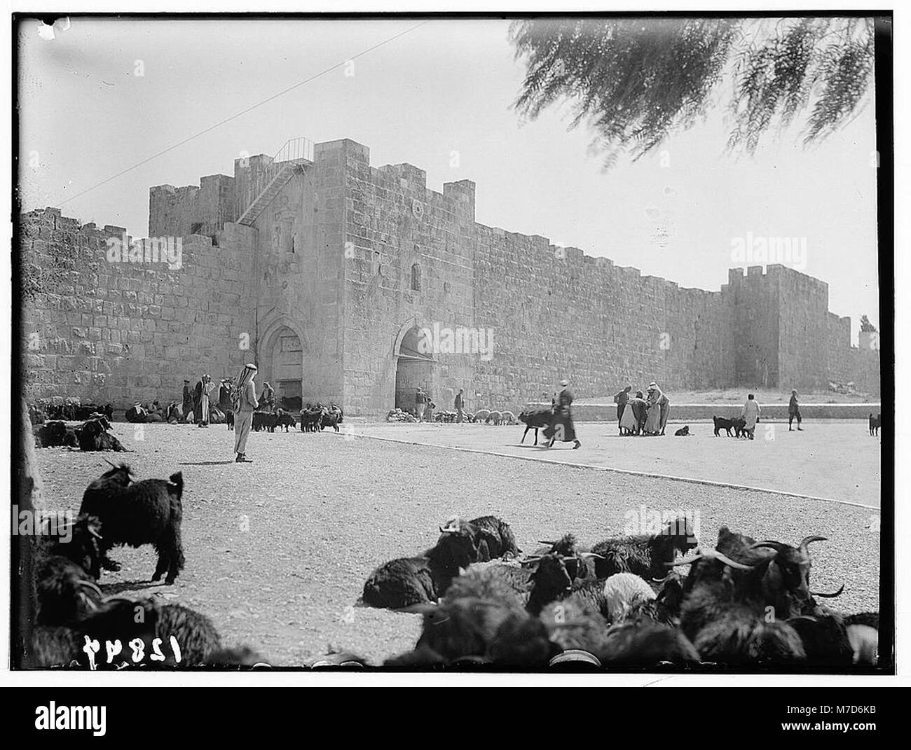 Herod's Gate, part of Jerusalem's Old City walls, a significant ...
