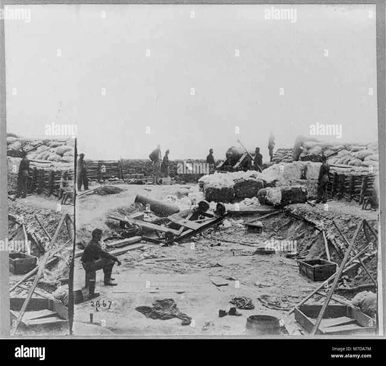 King cotton hires stock photography and images Alamy