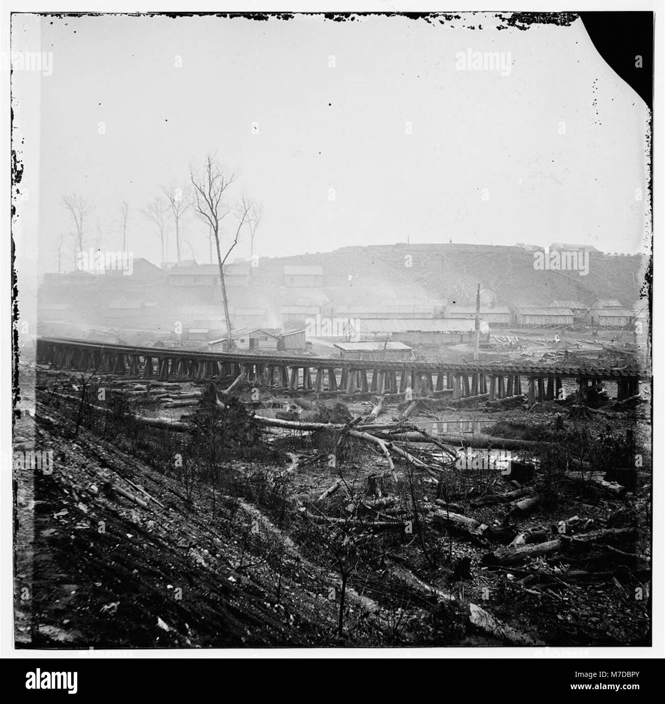 Johnsonville, Tennessee. Federal supply depot LOC cwpb.02097 Stock