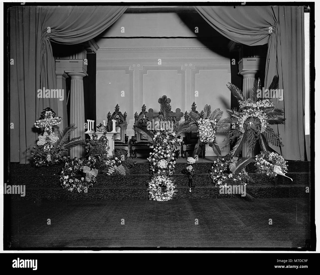 Dead flowers photograph hires stock photography and images Alamy