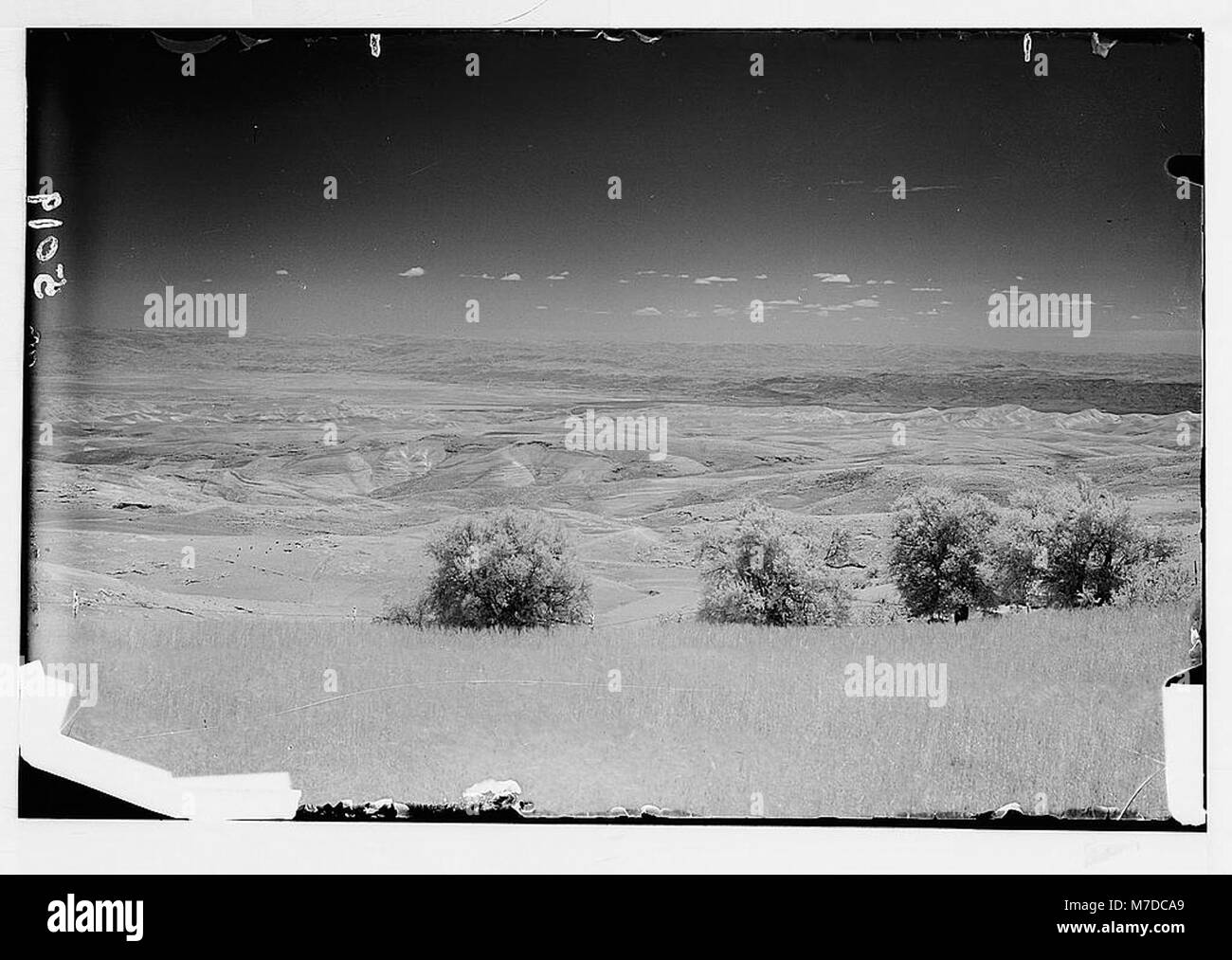 Jordan Valley, Dead Sea and Transjordan. Infrared photo from the Mt