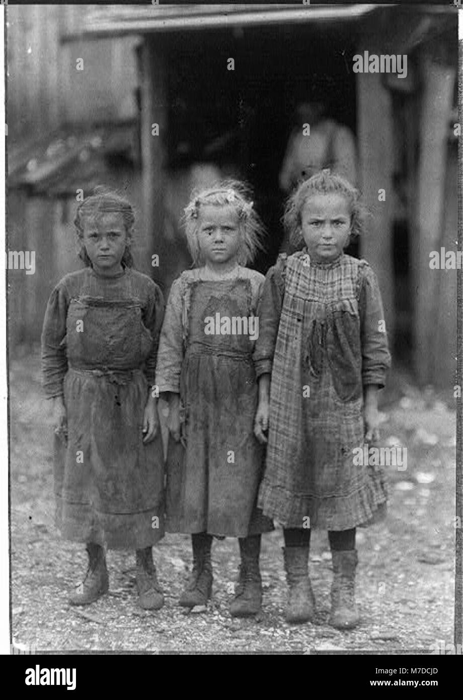 Josie, six year old, Bertha, six years old, Sophie, 10 years old, all shuck regularly. Maggioni Canning Co. LOC cph.3a15214 Stock Photo
