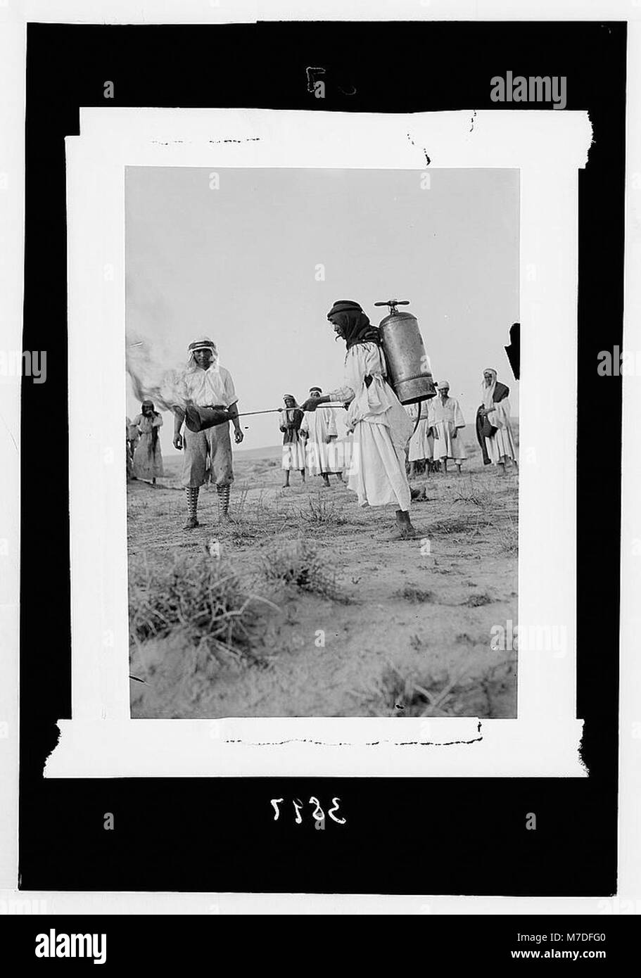 Locust plagues in Palestine. Methods of fighting the locust plague. A ...