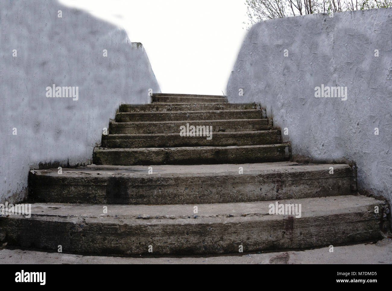 Many new step ladder display on the tool store (shop Stock Photo - Alamy