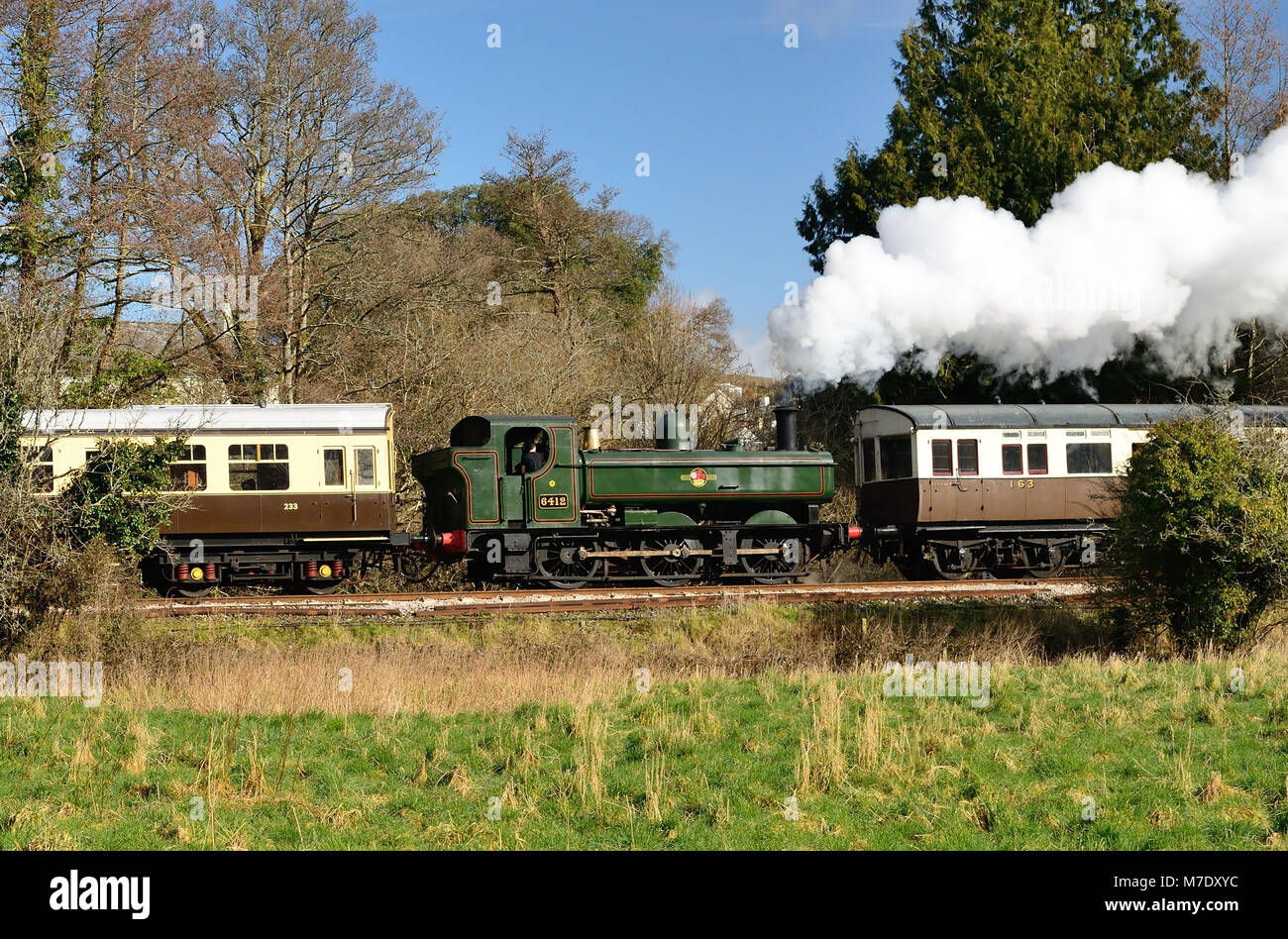 GWR pannier tank No 6412 approaching Staverton on the South Devon Railway with an auto-train from Totnes, 17th February 2018. Stock Photo