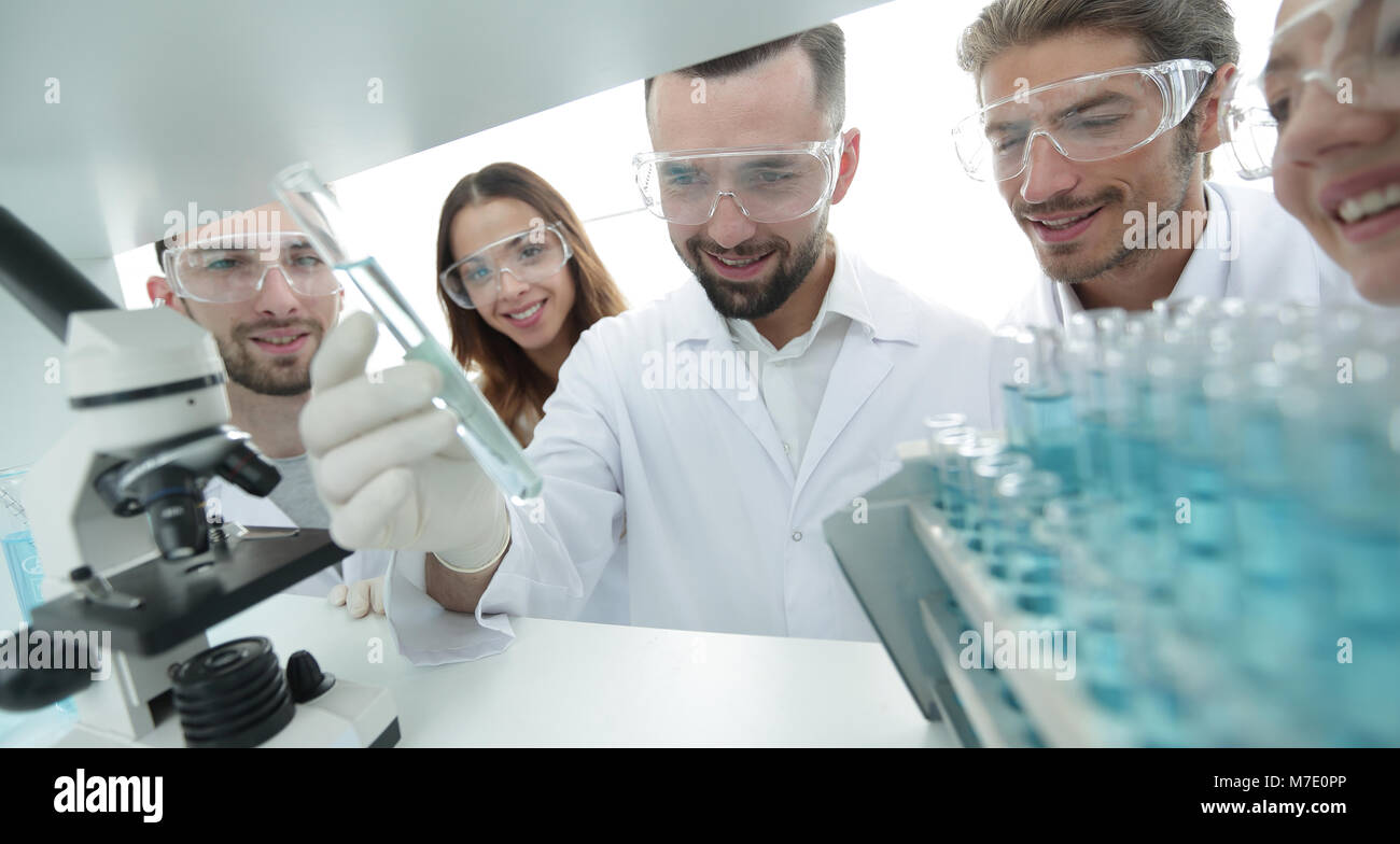 group of pharmacists working in the laboratory Stock Photo Alamy