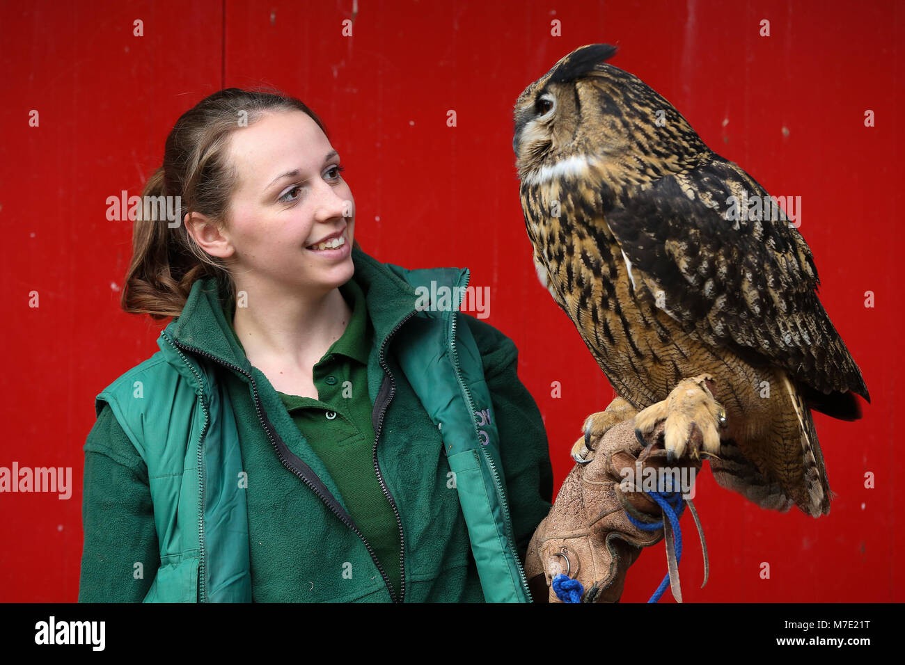 Zookeepers at Zoological Society of London (ZSL) London Zoo with their