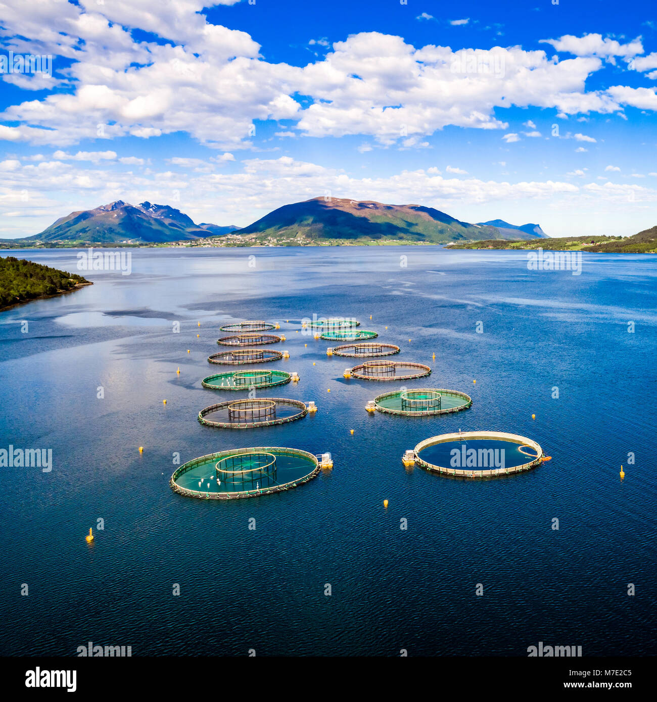 Norway fish fishing hi-res stock photography and images - Alamy