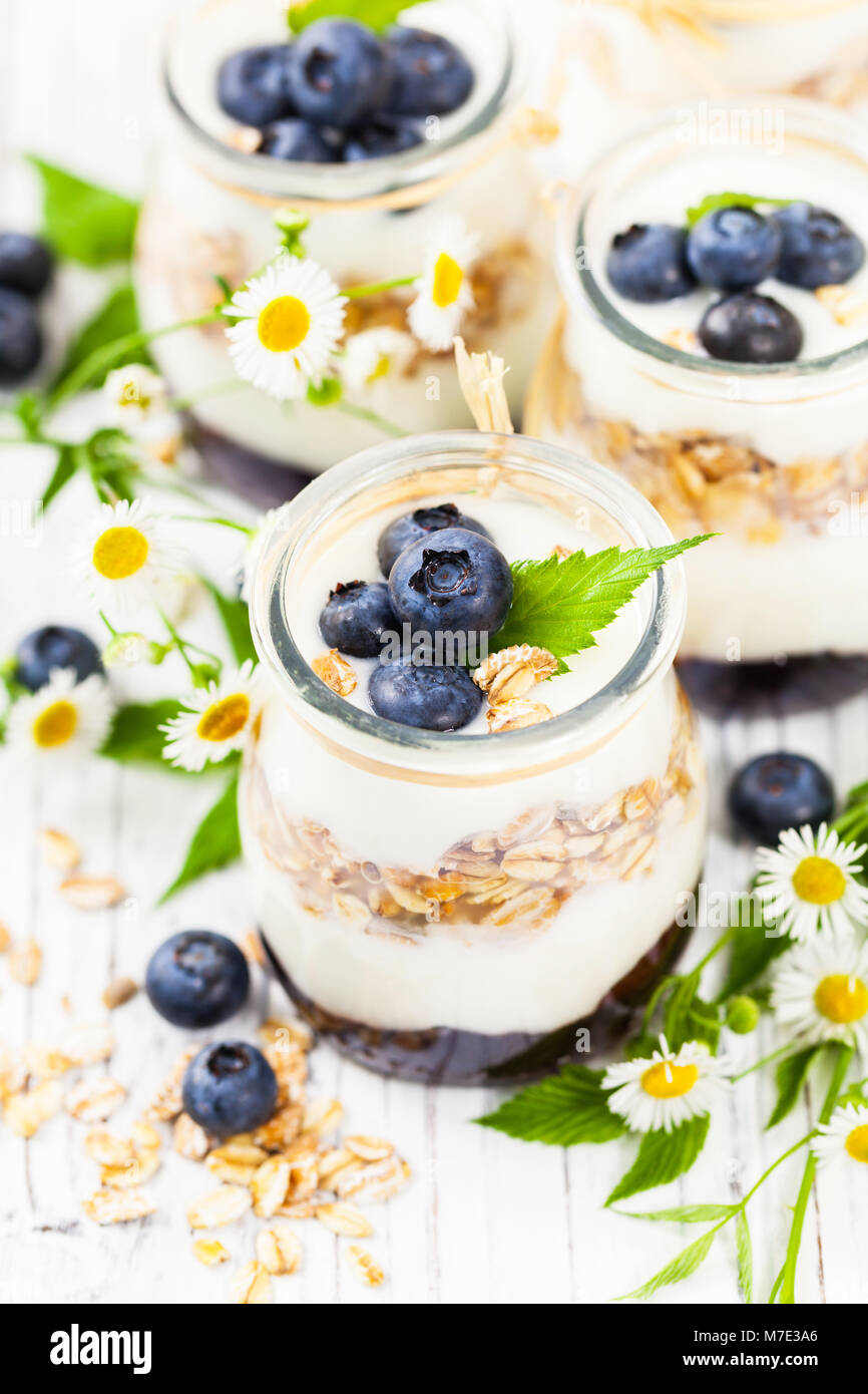 Greek Yogurt Dessert with Blueberries Stock Photo