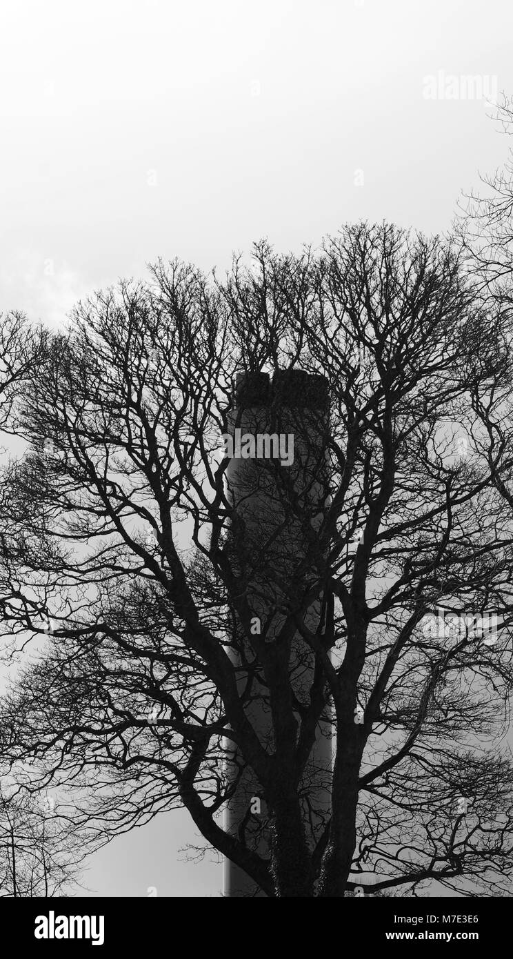 Silhouetted Leafless Tree and Factory Chimney. Aberdeen, Scotland, UK. March, 2018. Stock Photo