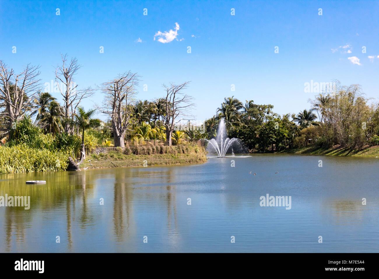 lakeside view with a water fountain Stock Photo