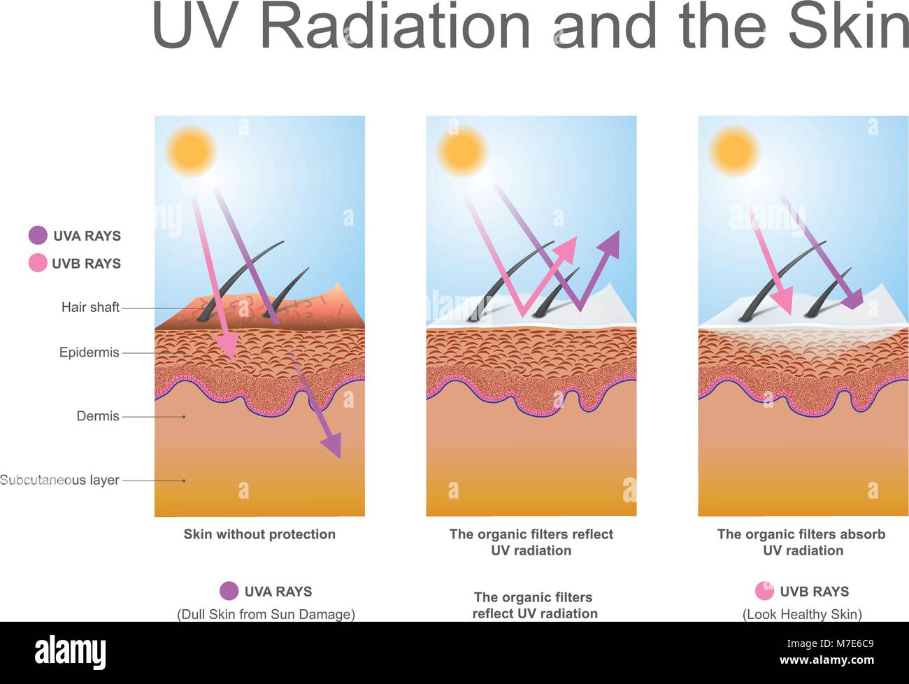 Радиация кожи. UVA UVB лучи что это. УФ лучи и кожа человека.