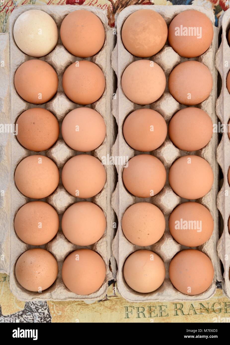 Several egg cartons of farmfresh brown eggs on display at farmers